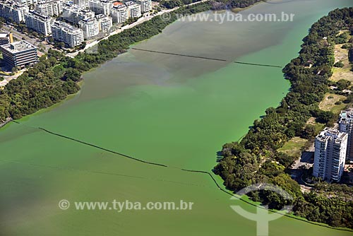  Aerial photo of the Tijuca Lagoon  - Rio de Janeiro city - Rio de Janeiro state (RJ) - Brazil