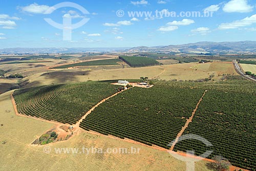  Picture taken with drone of the coffee plantation  - Sao Roque de Minas city - Minas Gerais state (MG) - Brazil