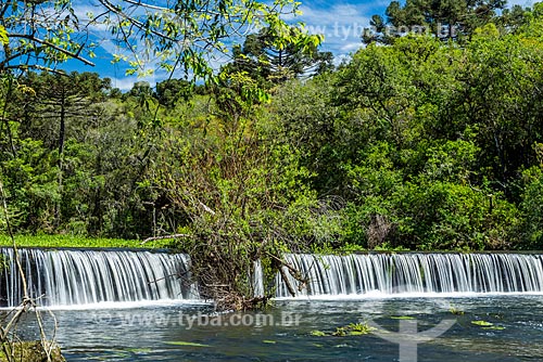  View of the Caracol Stream - Caracol State Park  - Canela city - Rio Grande do Sul state (RS) - Brazil