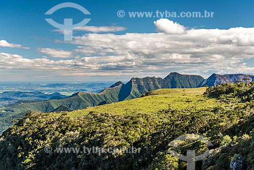  View of the Montenegro Canyon between Sao Jose dos Ausentes and Bom Jardim da Serra cities  - Sao Jose dos Ausentes city - Rio Grande do Sul state (RS) - Brazil