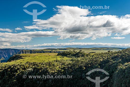  View of the Montenegro Canyon between Sao Jose dos Ausentes and Bom Jardim da Serra cities  - Sao Jose dos Ausentes city - Rio Grande do Sul state (RS) - Brazil