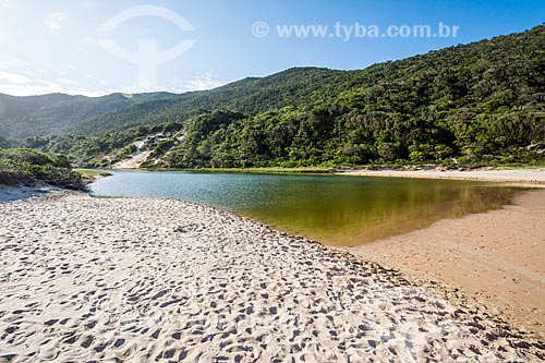  Mouth of river - Lagoinha do Leste Beach waterfront - Lagoinha do Leste Municipal Park  - Florianopolis city - Santa Catarina state (SC) - Brazil