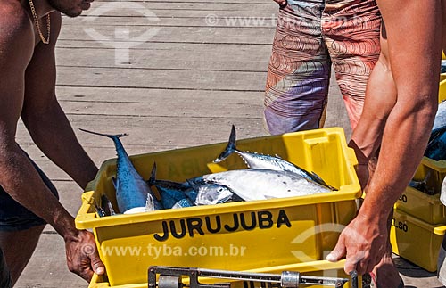  Detail of fisherman - Cais Beach (wharf Beach)  - Niteroi city - Rio de Janeiro state (RJ) - Brazil