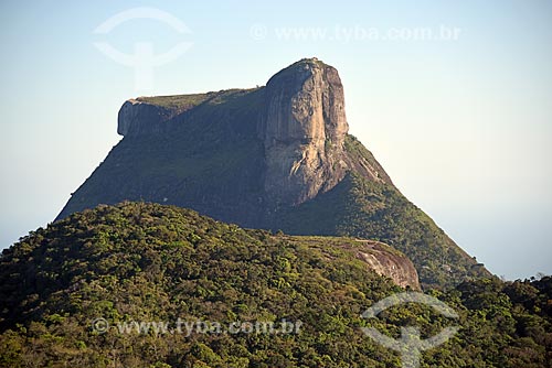  Aerial photo of the Rock of Gavea  - Rio de Janeiro city - Rio de Janeiro state (RJ) - Brazil