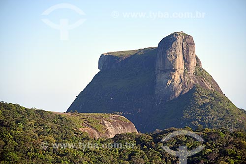  Aerial photo of the Rock of Gavea  - Rio de Janeiro city - Rio de Janeiro state (RJ) - Brazil