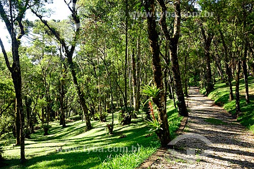  Park - Campos do Jordao city  - Campos do Jordao city - Sao Paulo state (SP) - Brazil