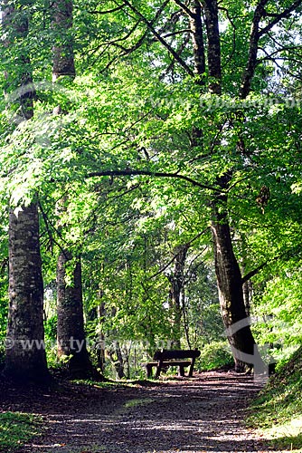  Park - Campos do Jordao city  - Campos do Jordao city - Sao Paulo state (SP) - Brazil