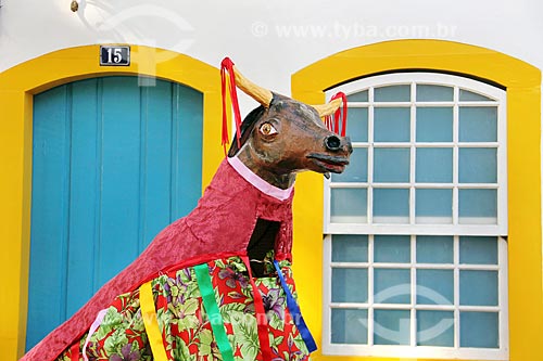  Detail of allegory during Festa do Divino (The Party of the Divine)  - Paraty city - Rio de Janeiro state (RJ) - Brazil