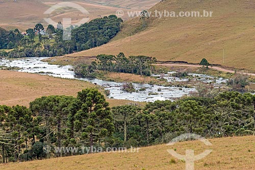  View of snippet of the Silveira River  - Sao Jose dos Ausentes city - Rio Grande do Sul state (RS) - Brazil