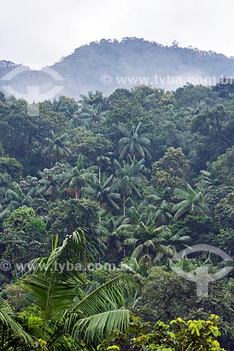  General view of the Serrinha do Alambari Environmental Protection Area  - Resende city - Rio de Janeiro state (RJ) - Brazil