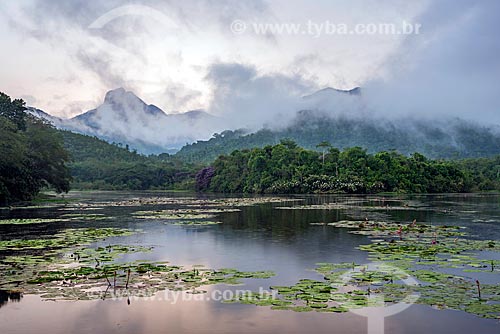  General view of lake - Guapiacu Ecological Reserve  - Cachoeiras de Macacu city - Rio de Janeiro state (RJ) - Brazil