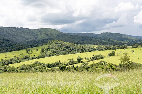  View of the Biological Reserve Teacher Jose Angelo Rizzo - part of the Serra Dourada State Park  - Mossamedes city - Goias state (GO) - Brazil