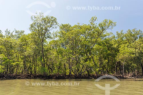  View of mangroves of the Grande River (Big River) - Saco do Mamangua  - Paraty city - Rio de Janeiro state (RJ) - Brazil