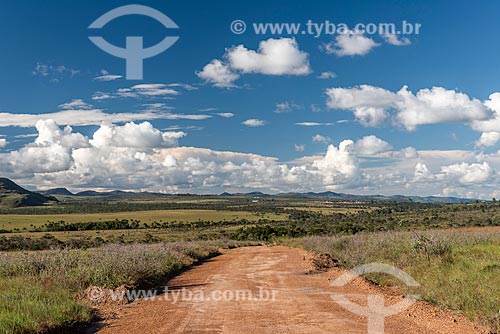  View of typical vegetation of cerrado - Veadeiros Plateau  - Alto Paraiso de Goias city - Goias state (GO) - Brazil