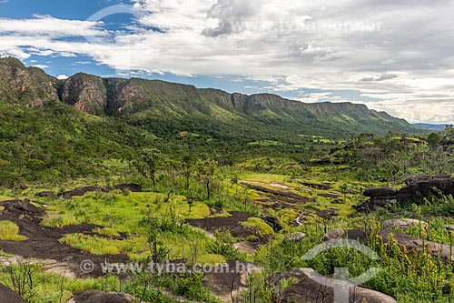  Typical vegetation of cerrado - Vale da Lua (Lua Valley)  - Alto Paraiso de Goias city - Goias state (GO) - Brazil