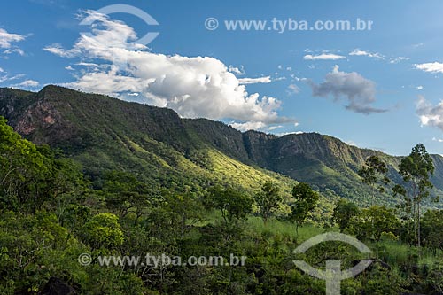  Typical vegetation of cerrado - Vale da Lua (Lua Valley)  - Alto Paraiso de Goias city - Goias state (GO) - Brazil