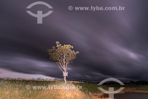  Typical vegetation of cerrado - Veadeiros Plateau at night  - Alto Paraiso de Goias city - Goias state (GO) - Brazil
