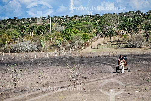  Man - wagon  - Jacobina city - Bahia state (BA) - Brazil