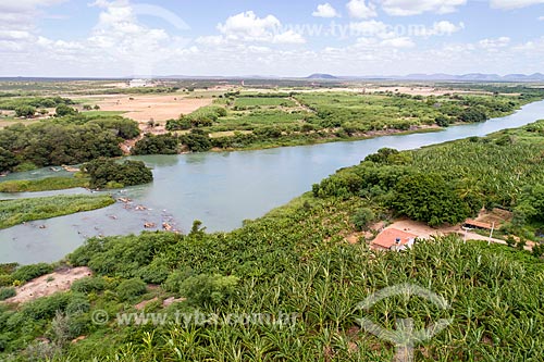  Picture taken with drone of the banana trees on the banks of Sao Francisco River - Assuncao Archipelago - natural boundary between Bahia and Pernambuco states  - Cabrobo city - Pernambuco state (PE) - Brazil