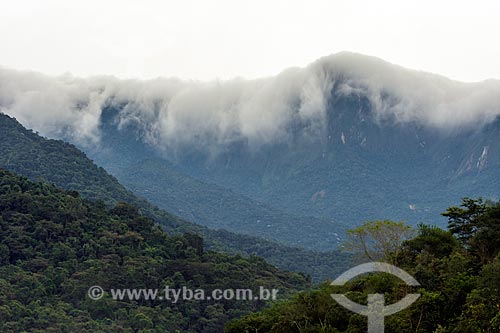  View of fog - Guapiacu Ecological Reserve  - Cachoeiras de Macacu city - Rio de Janeiro state (RJ) - Brazil
