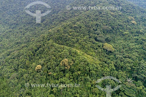  Picture taken with drone of the Atlantic Rainforest near to Sao Sebastiao city  - Sao Sebastiao city - Sao Paulo state (SP) - Brazil