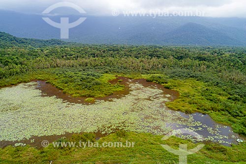  Picture taken with drone of the Atlantic Rainforest area near to Bertioga city  - Bertioga city - Sao Paulo state (SP) - Brazil