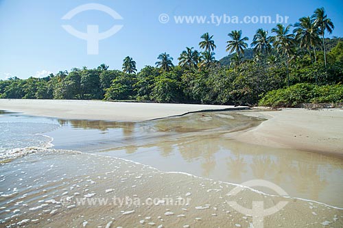  View of the Lopes Mendes Beach waterfront  - Angra dos Reis city - Rio de Janeiro state (RJ) - Brazil