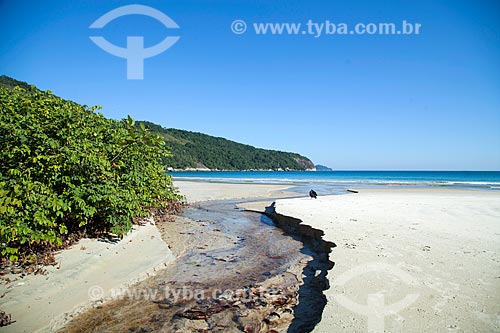  Mouth of river - Lopes Mendes Beach waterfront  - Angra dos Reis city - Rio de Janeiro state (RJ) - Brazil