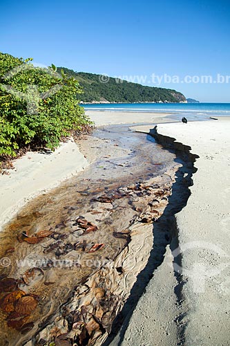  Mouth of river - Lopes Mendes Beach waterfront  - Angra dos Reis city - Rio de Janeiro state (RJ) - Brazil