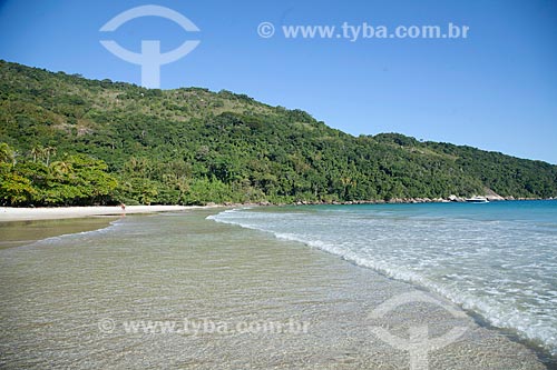  View of the Lopes Mendes Beach waterfront  - Angra dos Reis city - Rio de Janeiro state (RJ) - Brazil