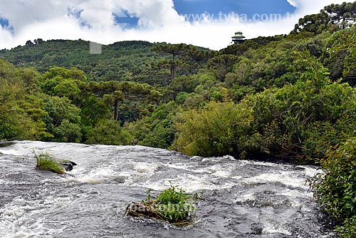  Snippet of the Caracol Stream - Caracol State Park with the tower of the Ecological Observatory in the background  - Canela city - Rio Grande do Sul state (RS) - Brazil