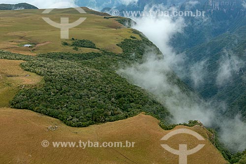  Aerial photo of the Montenegro Canyon  - Sao Jose dos Ausentes city - Rio Grande do Sul state (RS) - Brazil