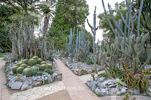  Inside of the cactarium - Botanical Garden of Rio de Janeiro  - Rio de Janeiro city - Rio de Janeiro state (RJ) - Brazil