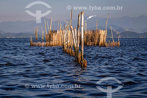  Fishing corral - Guanabara Bay  - Mage city - Rio de Janeiro state (RJ) - Brazil