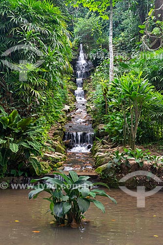  Overfall - Botanical Garden of Rio de Janeiro  - Rio de Janeiro city - Rio de Janeiro state (RJ) - Brazil