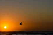 Sunrise on atlantida maritime platform - Xangri-la city - Rio Grande do Sul state (RS) - Brazil