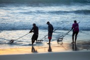 Sea Gold Miners at Copacabana Beach - Rio de Janeiro city - Rio de Janeiro state (RJ) - Brazil