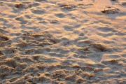 Detail of the sand of Copacabana Beach - Rio de Janeiro city - Rio de Janeiro state (RJ) - Brazil