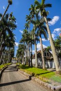 Brustlein lane - Joinville city - Santa Catarina state (SC) - Brazil