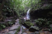 Gabriela Waterfall - Tijuca Forest - Rio de Janeiro city - Rio de Janeiro state (RJ) - Brazil