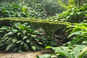 Stone bridge (Ponte do Barcelos) in the Tijuca Forest - Tijuca National Park - Rio de Janeiro city - Rio de Janeiro state (RJ) - Brazil