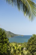 View of a stretch of Atlantic Forest and the sea in Ilhabela - Ilhabela city - Sao Paulo state (SP) - Brazil