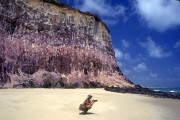 Tourist on the beach with cliff in the background - 90s - Tibau do Sul city - Rio Grande do Norte state (RN) - Brazil
