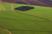 Aerial view of sugarcane plantation - Bartira Farm - Canapolis city - Minas Gerais state (MG) - Brazil