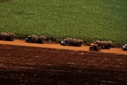 Aerial view of trucks transporting sugarcane - Bartira Farm - Canapolis city - Minas Gerais state (MG) - Brazil