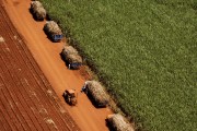 Aerial view of trucks transporting sugarcane - Bartira Farm - Canapolis city - Minas Gerais state (MG) - Brazil