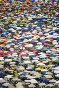 Bathers at Pitangueiras Beach on the last day of the year - Guaruja city - Sao Paulo state (SP) - Brazil