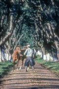 Gaucho leading horse - The 90s - Rio Grande do Sul state (RS) - Brazil