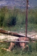 Urban violence - Victims of the Death Squad in Baixada Fluminense - Duque de Caxias city - Rio de Janeiro state (RJ) - Brazil