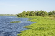Lake in the landscape - Refugio Caiman - Miranda city - Mato Grosso do Sul state (MS) - Brazil
